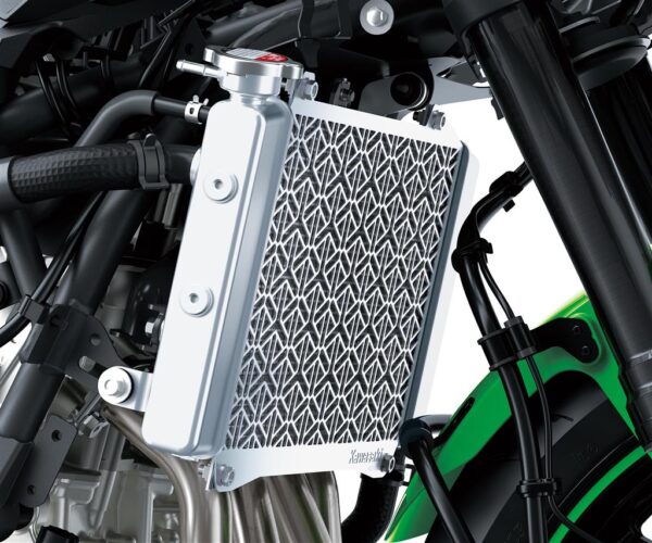 Radiator screen
