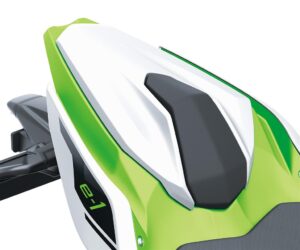 Pillion seat cover